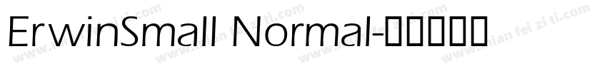 ErwinSmall Normal字体转换